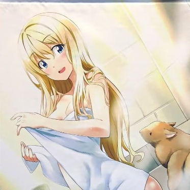Goblin Slayer Priestess B2 Tapesrty