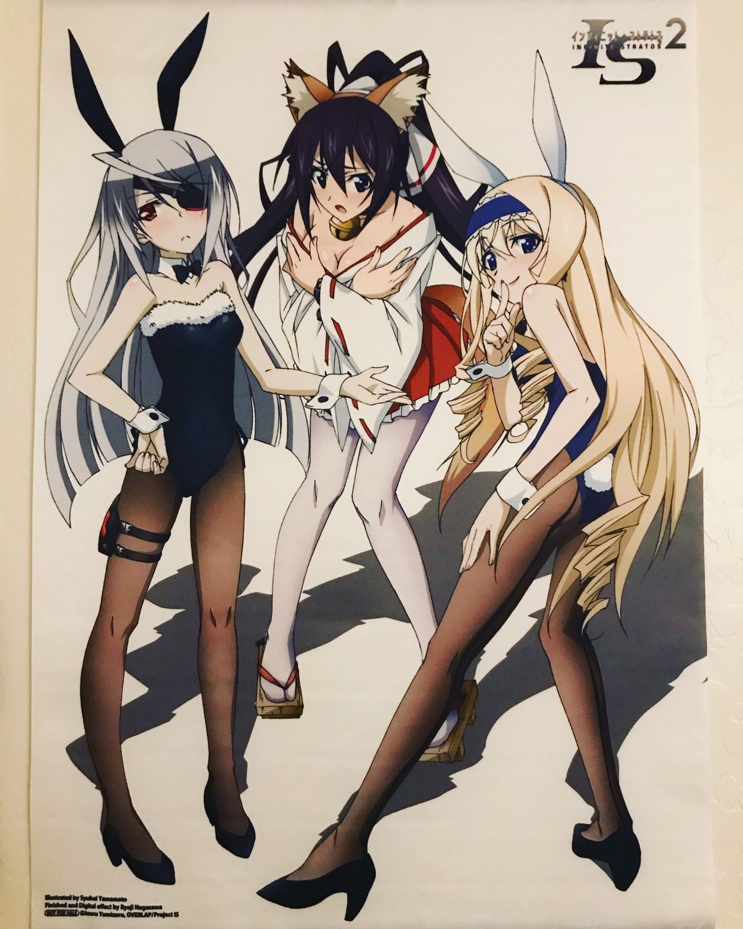 Infinite Stratos 2 Animate Bonus B2 Tapestry