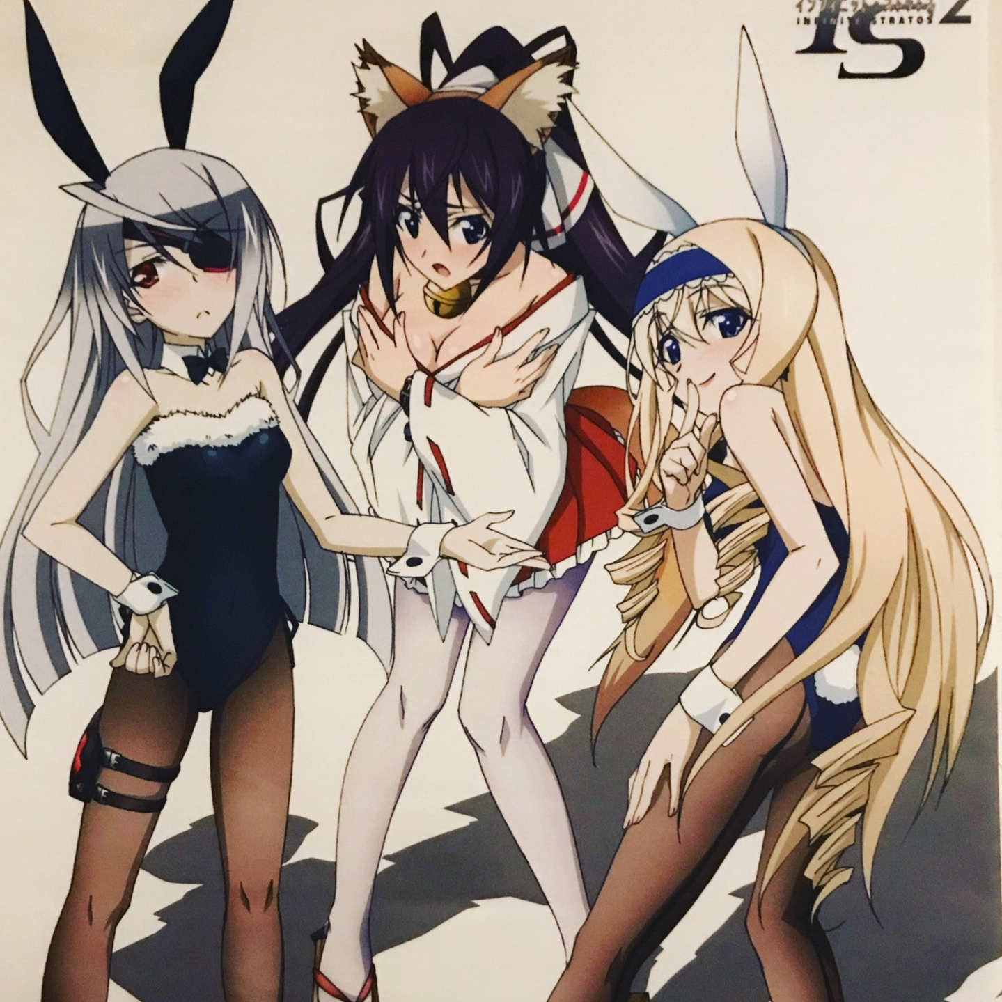 Infinite Stratos 2 Animate Bonus B2 Tapestry