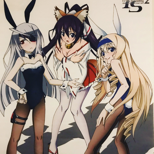 Infinite Stratos 2 Animate Bonus B2 Tapestry