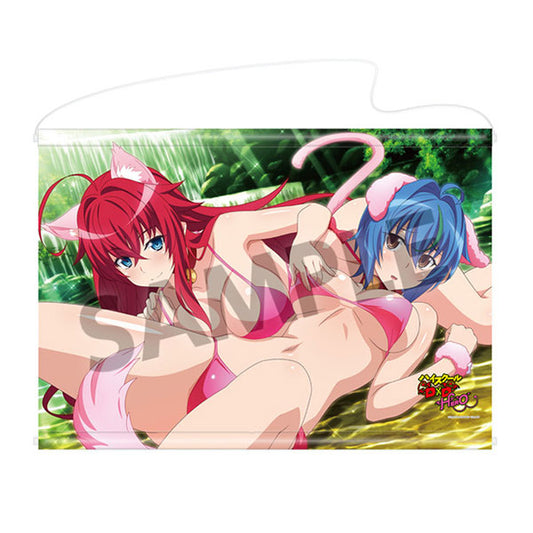 High School D x D B2 Wall Scroll Rias & Xenovia